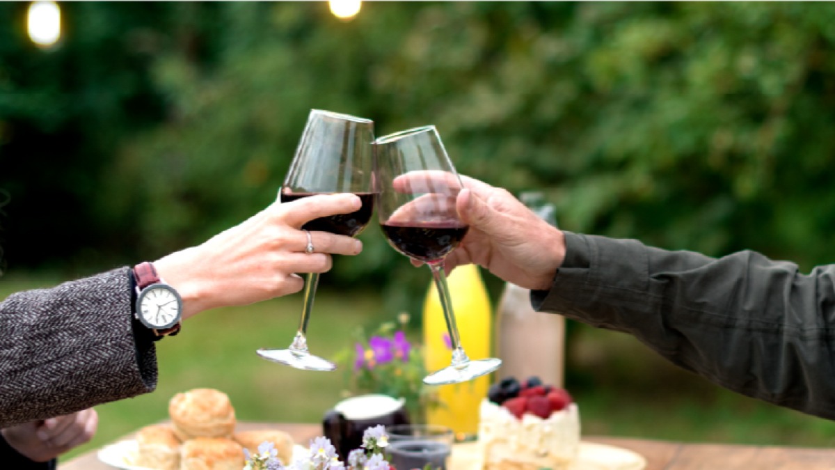 Harvest 2025 – The Beginning of a New Wine Story 🍇